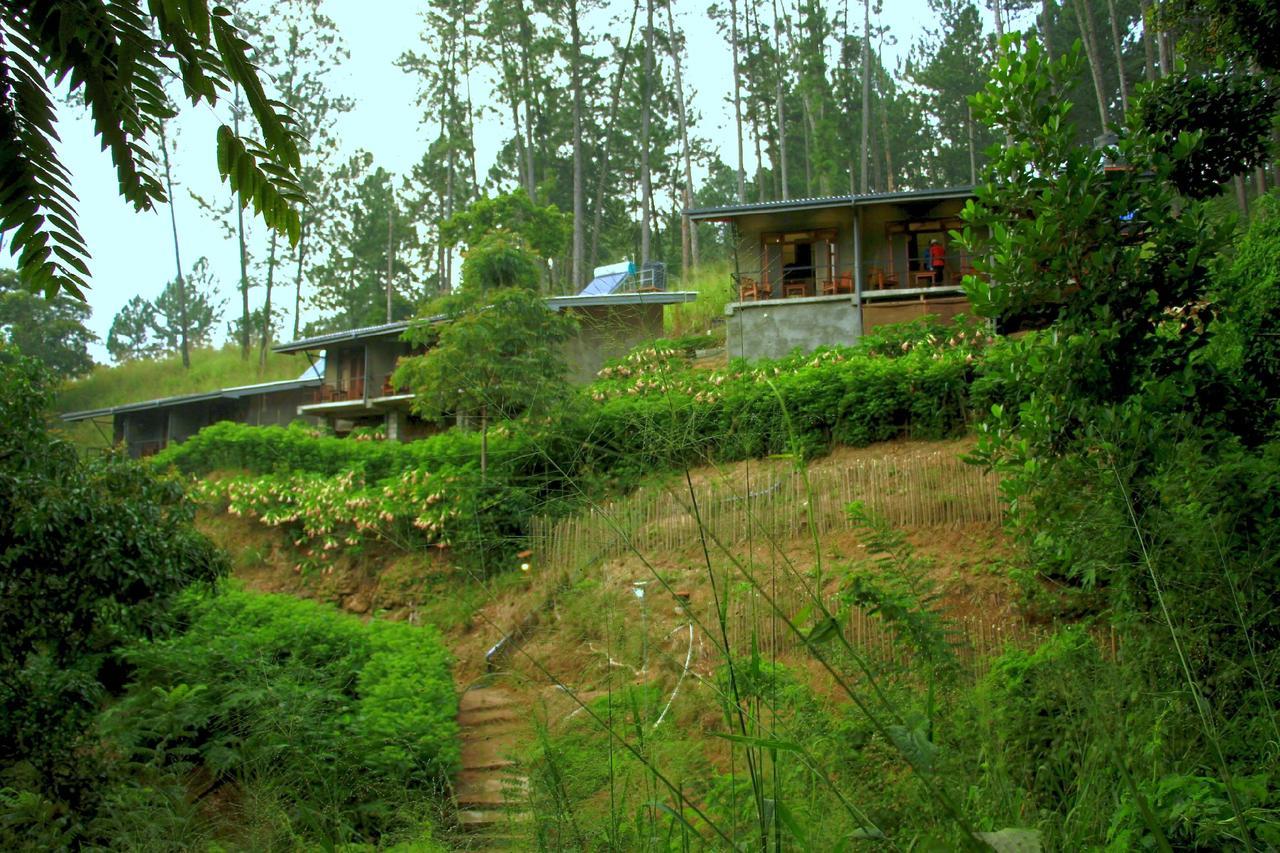 Rowinrich Cottages Элла Экстерьер фото